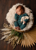 ZII_6282-Edit