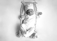 ZII_1399-Edit