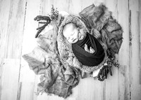 ZII_9187-Edit