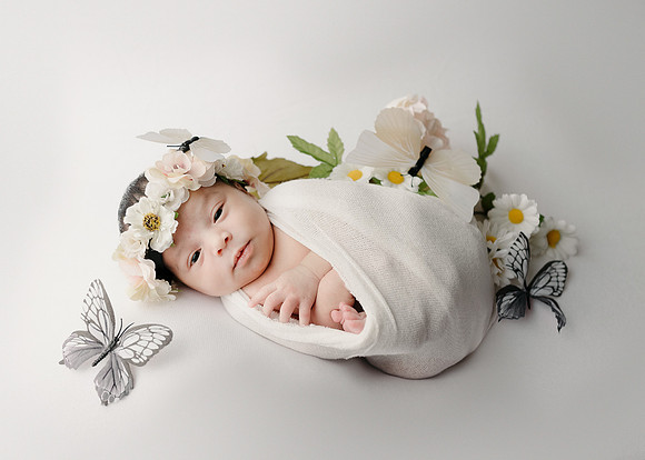 ZII_0469-Edit