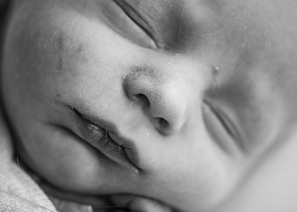 ZII_4122