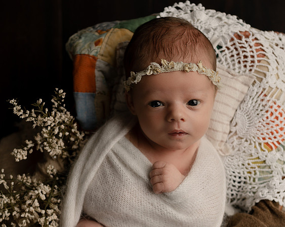 Z72_7233-Edit