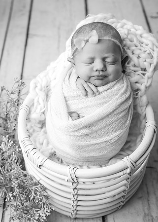 ZII_9308-Edit