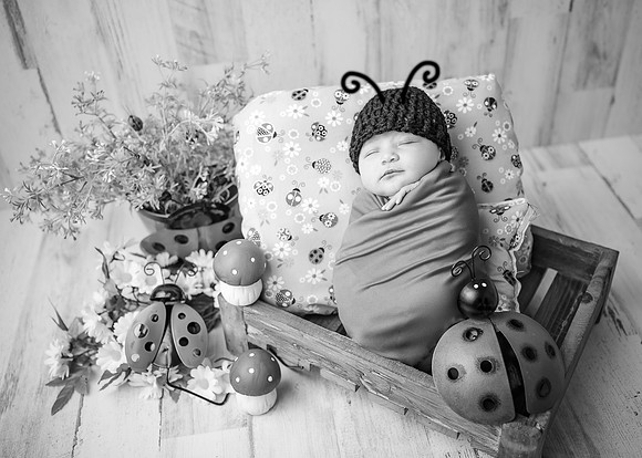 ZII_8976-Edit