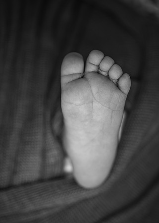 ZII_9475