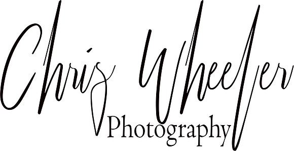 logo - black