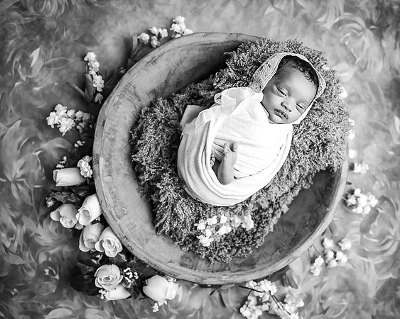 ZII_1561-Edit