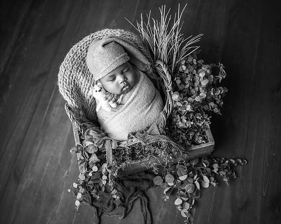 Z72_6809-Edit