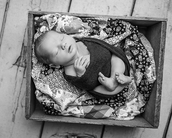_DSC4344-Edit