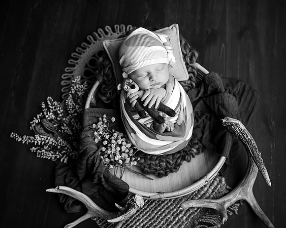 ZII_8299-Edit
