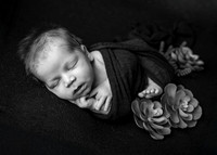 Z62_1203-Edit