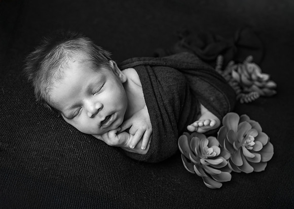 Z62_1203-Edit