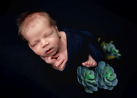 Z62_1202-Edit