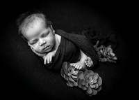 Z62_1206-Edit