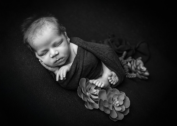 Z62_1206-Edit