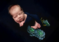 Z62_1205-Edit