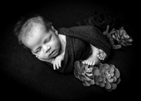 Z62_1211-Edit