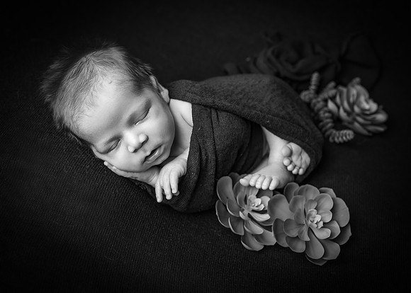 Z62_1211-Edit