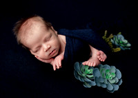 Z62_1207-Edit