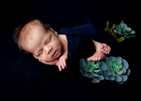 Z62_1210-Edit