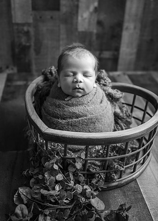 Z62_1286-Edit
