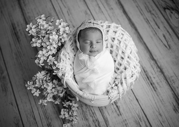 Z62_2371-Edit