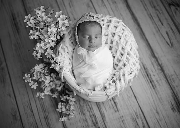 Z62_2368-Edit