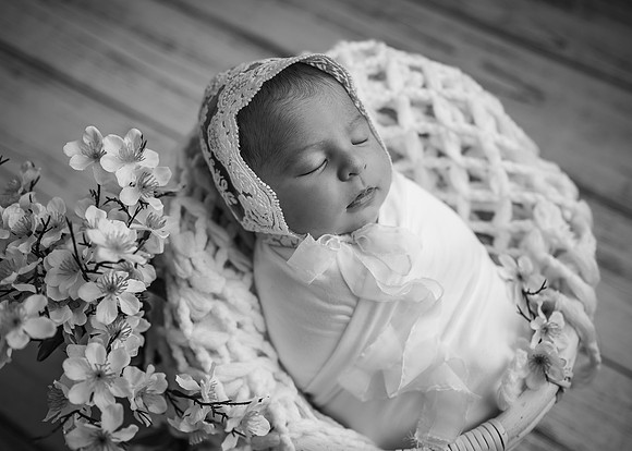 Z62_2379-Edit