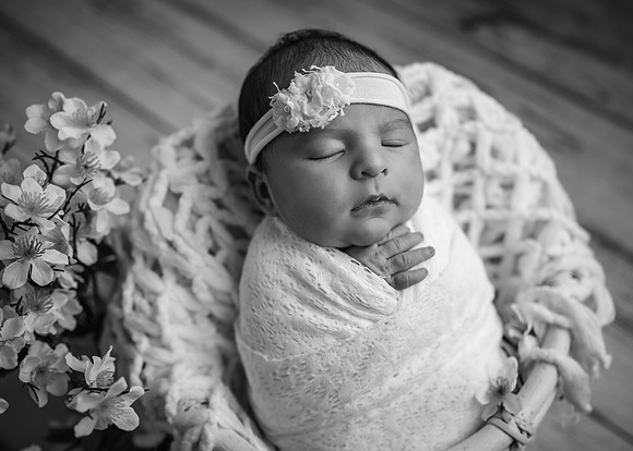 Z62_2388-Edit