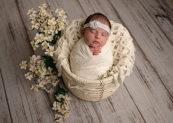 Z62_2386-Edit