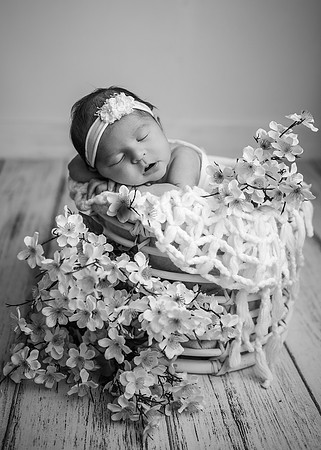 Z62_2393-Edit