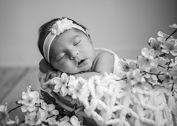 Z62_2396-Edit