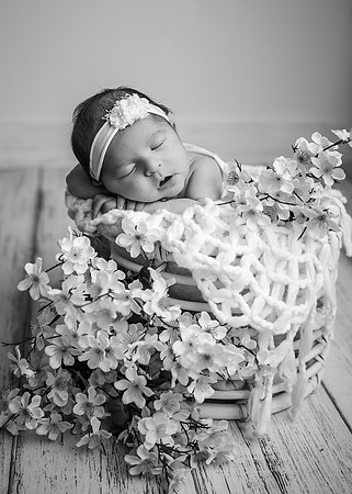 Z62_2398-Edit