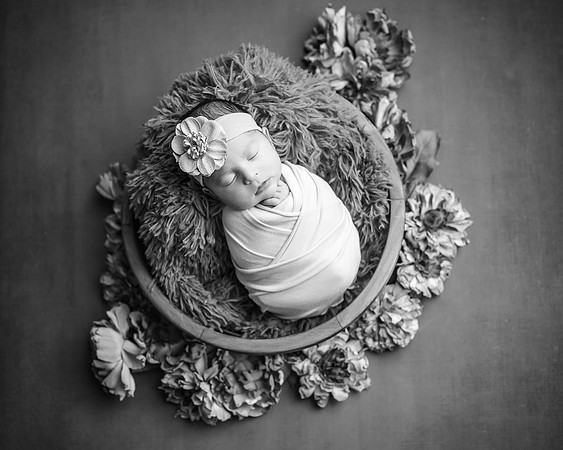 Z62_2443-Edit