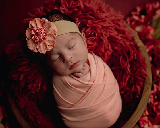 Z62_2450-Edit