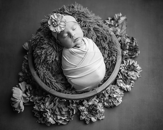 Z62_2452-Edit