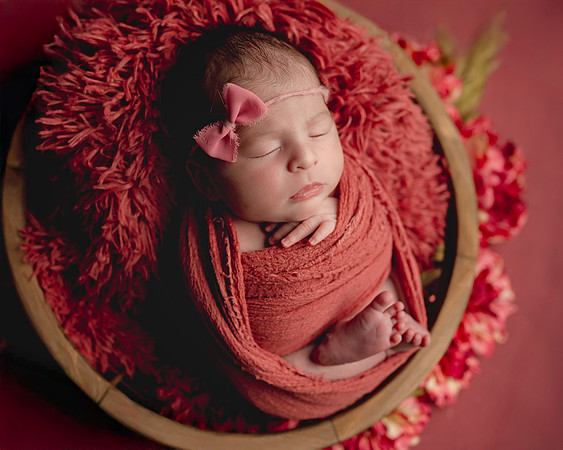Z62_2473-Edit