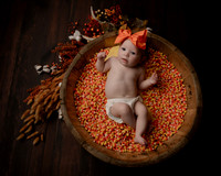 Z62_2689-Edit