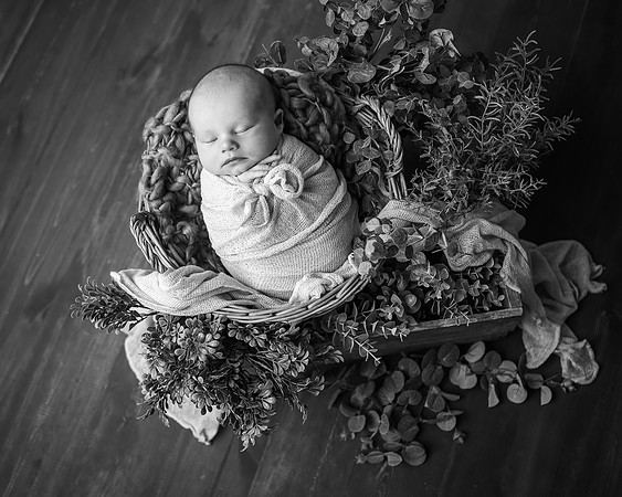 Z62_3626-Edit
