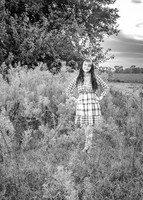 _Z623785
