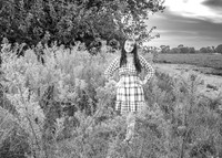 _Z623789