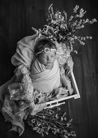 Z62_9679-Edit
