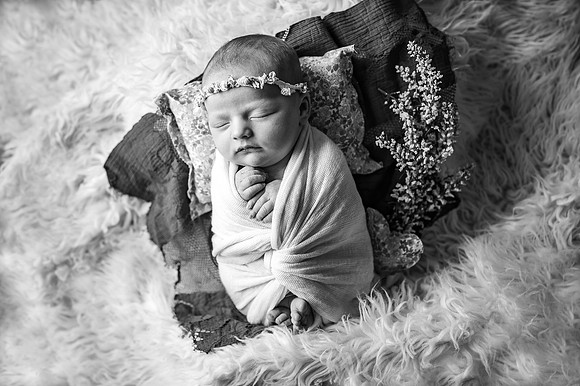 ZII_3546-Edit