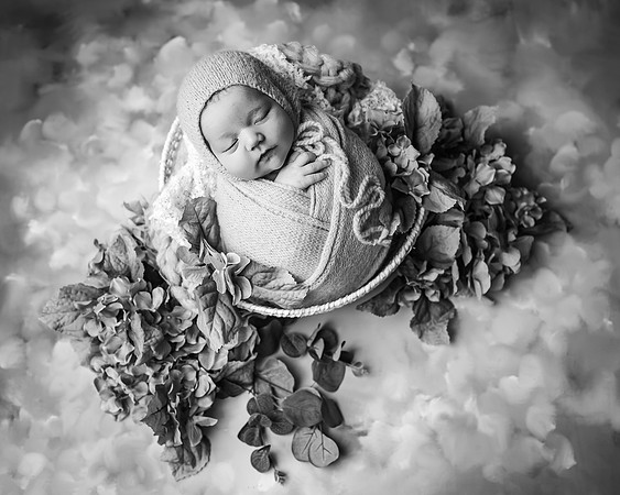 _Z627474-Edit