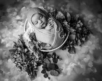_Z627479-Edit
