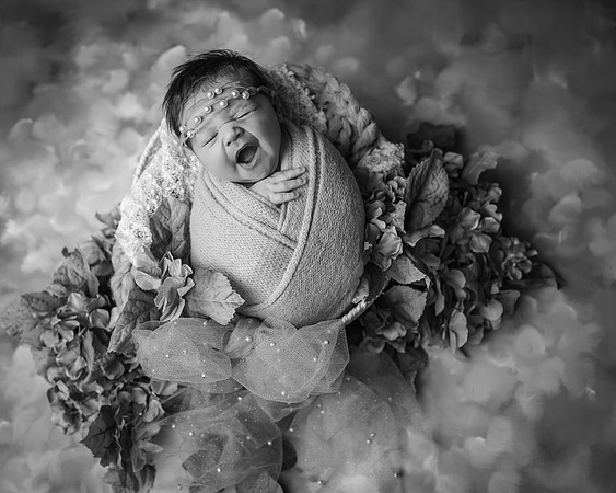 _Z627492-Edit