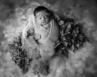 _Z627501-Edit