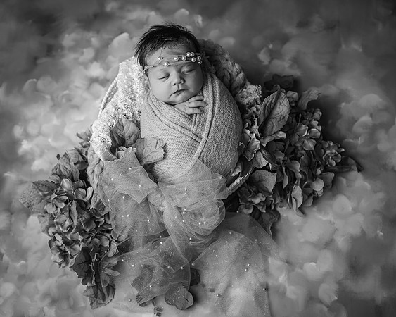 _Z627501-Edit