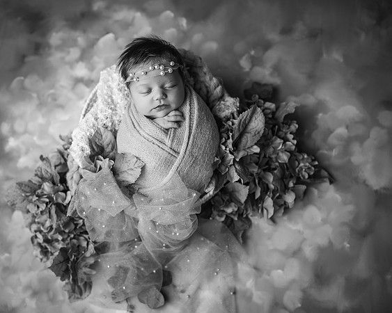 _Z627505-Edit