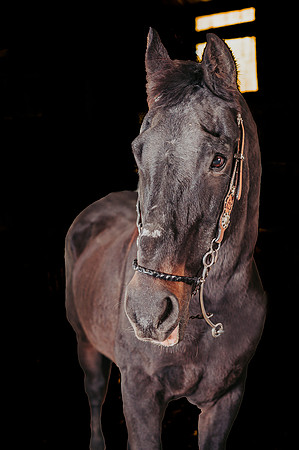 ZII_4939-Edit